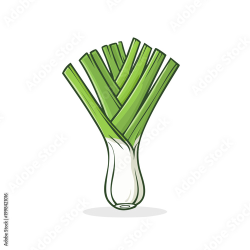 Fresh Leek Vegetable Illustration Healthy Food Ingredient