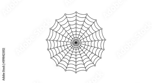 Intricate Spider Web Design - Radial Pattern, Geometric, Isolated on White