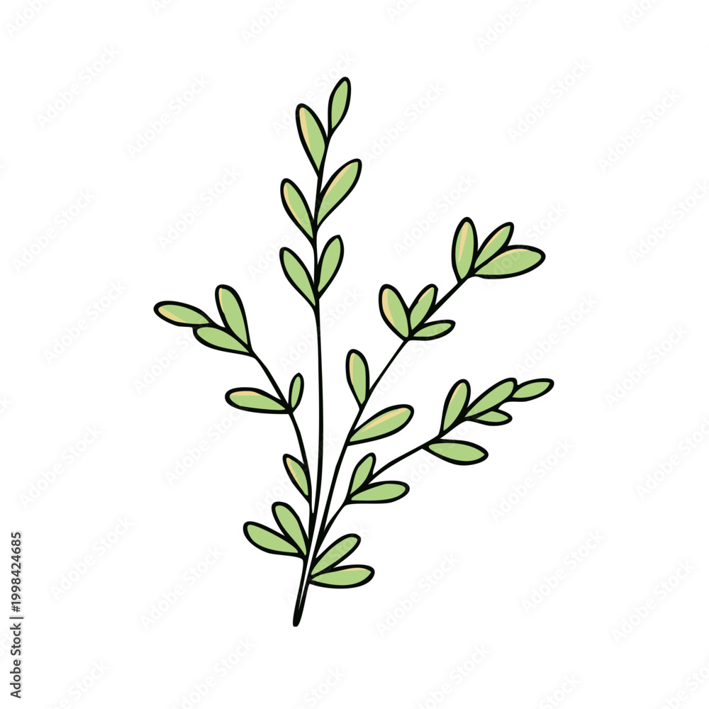 Obraz premium Simple green twig with small leaves, hand-drawn illustration, organic, botanical element