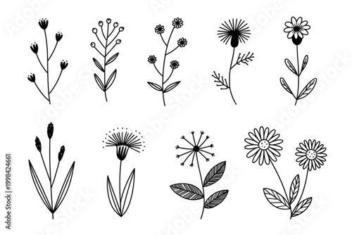 Collection of elegant black and white botanical plant icons in minimalist style Vector