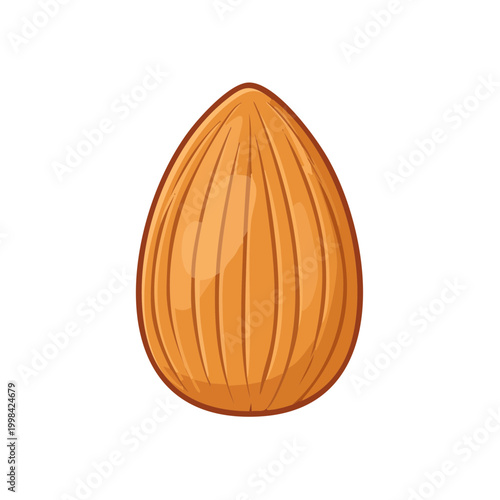 Isolated Almond Nut Drawing Healthy Organic Food Ingredient Isolated on White