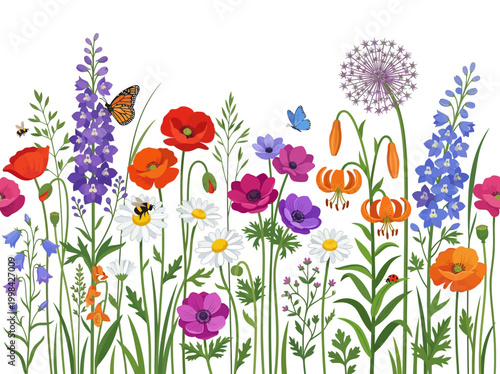 Vibrant Wildflower Meadow Garden Border with Poppies, Daisies, Butterflies, and Bees. Summer Botanical Vector Illustration Isolated on White Background.