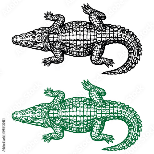 High quality detailed vector set of crocodile and alligator illustrations from above in black and green woodcut style for commercial designs