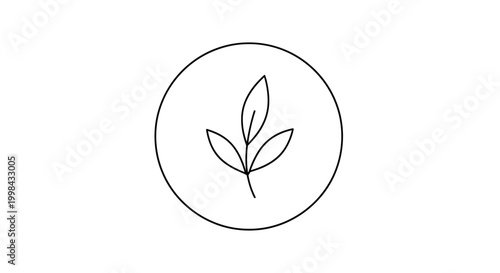 Minimalist leaf icon in circle, simple line art, nature symbol, clean design