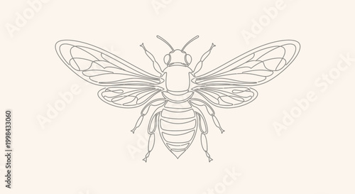 Minimalist Line Art Bee Illustration - Insect Outline Drawing