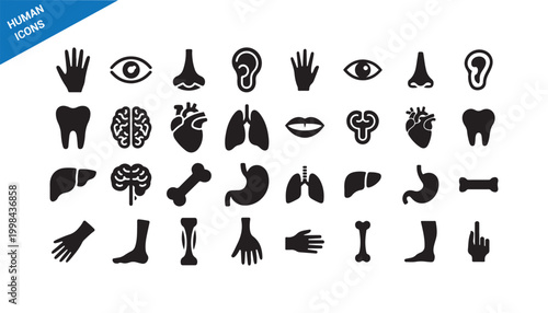 Medical icons collection. Human anatomy organs silhouette set
