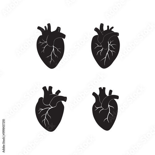 Four black anatomical heart illustrations with white veins  human cardiovascular system  medical education  health and wellness