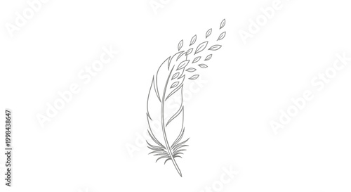 A delicate feather illustration with intricate details and soft lines
