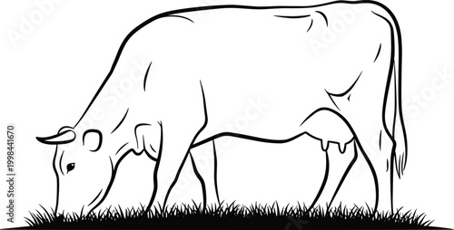 Cow grazing silhouette, farm animal eating grass, dairy cattle pasture scene, livestock agriculture concept, rural countryside farming, isolated black vector illustration on white background