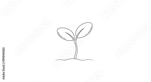 Minimalist seedling sprout drawing, new growth, blank background, concept of beginning