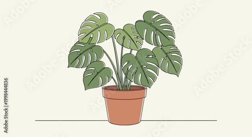Monstera Plant in Terracotta Pot, Tropical Houseplant, Line Art Illustration