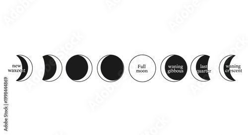 Moon Phases Cycle Illustration - New Moon to Full Moon, Gibbous, Crescent