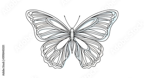 Outline Butterfly Drawing, Minimalist Insect Art, Delicate Wing Pattern, Vector Illustration