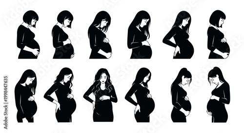 vector illustration of a PREGNANT body in a row