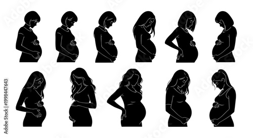 vector illustration of a PREGNANT body in a row