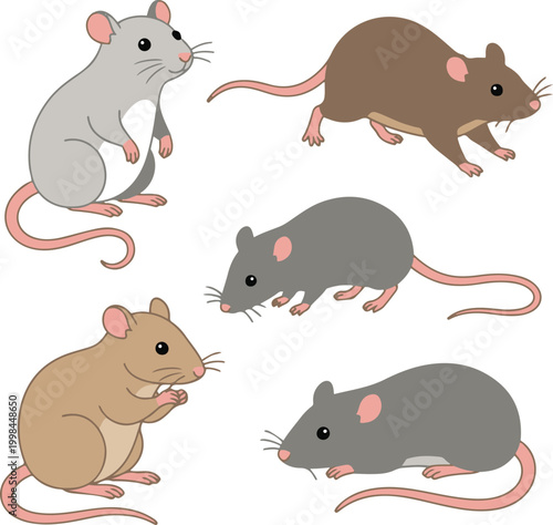 Set of cartoon rats in different poses, showcasing various rodent positions in a simple and friendly vector illustration style.