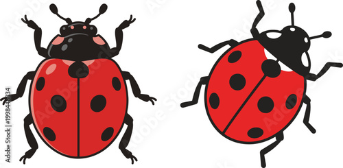 Illustration of ladybugs in different styles, showing red beetles with black spots in a simple and clear vector design.