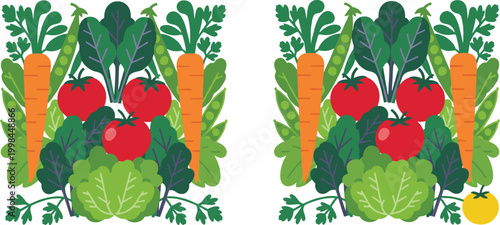 Flat vector vegetable harvest illustration with carrots tomatoes lettuce and peas for organic food and healthy lifestyle design