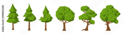 Set of green trees, vector illustration of mixed forest, pine, spruce, oak, garden vegetation isolated