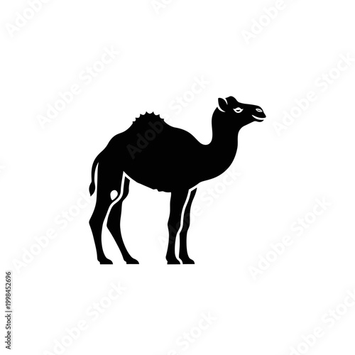 Silhouette of a camel standing in desert.