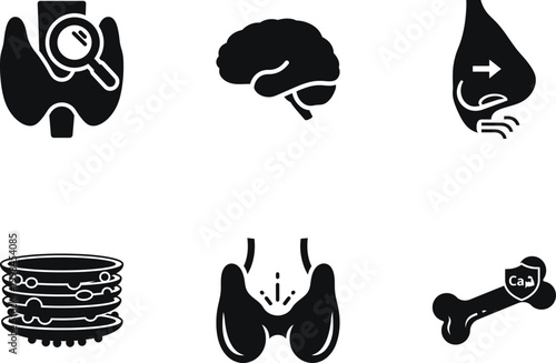 Set of endocrine system icons including thyroid gland, brain, pituitary gland, hormone regulation, and bone calcium health