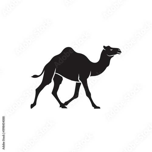 Silhouette of a camel walking in the desert.
