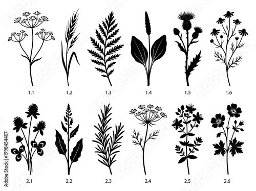 Set of 12 Black Botanical Silhouettes featuring Herbs, Field Weeds, and Garden Wildflowers