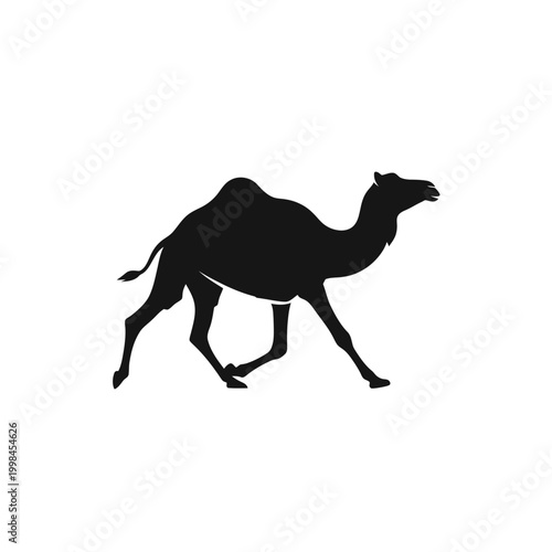 Silhouette of a Running Dromedary Camel in Black.