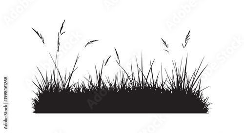 Black silhouette of green grass patch isolated on white background with tall wild blades and some decorative elements.