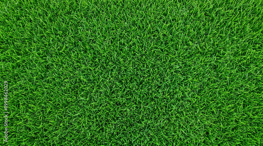 Obraz premium Lush green grass texture background