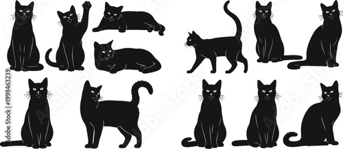 Silhouette cats sitting, standing, walking, lying, raising paw, feline behavior concept, pet care, animal lifestyle vector illustration, black white artwork design