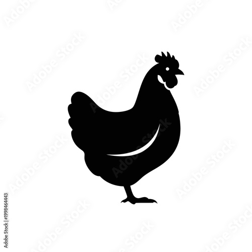 Silhouette of a Chicken Standing on White Background.