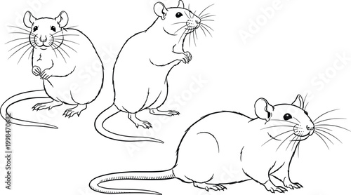 Rat line art vector set, cute mouse sketches, blue outline rodent illustration, wildlife animal drawing, minimalist pest control icon, pet rat character, isolated white.