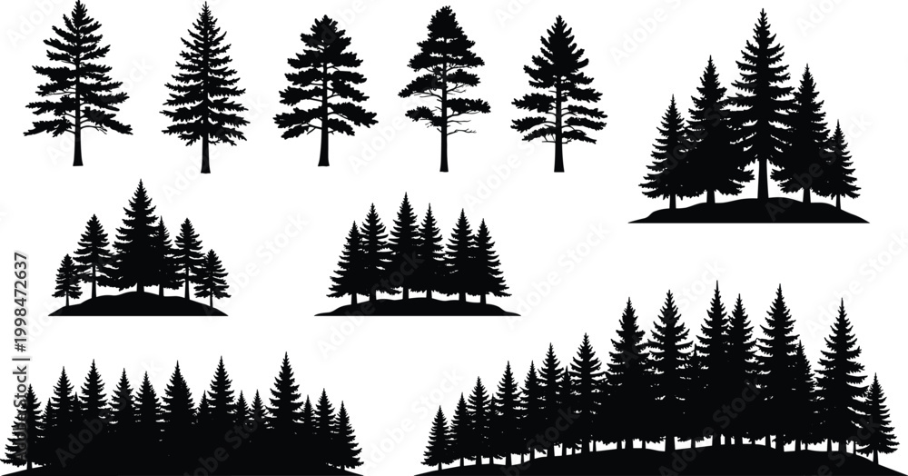 Fototapeta premium Set, of, pine, tree, silhouettes, featuring, various, coniferous, evergreen, forest, shapes, spruce, wood, landscape, elements, for, mountain, nature, winter, outdoor, wilderness, design.
