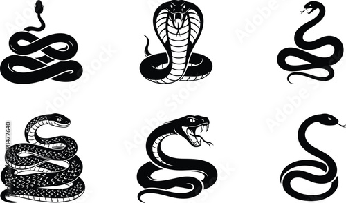 Snake illustrations, cobra silhouette, venomous reptile art, coiled serpent design, aggressive fang display, stylized snake vector, reptile symbolism, dangerous wildlife, exotic serpent artwork