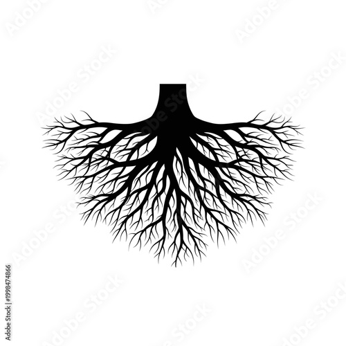 Intricate root system illustration showcasing the hidden world beneath the surface.