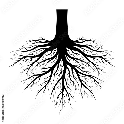 Intricate root system illustration showcasing the hidden world beneath the surface.