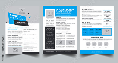 Nonprofit Organization Fact Sheet, Organization Fact Sheet for Business Concept Layout With Three Page & Color Design Step
