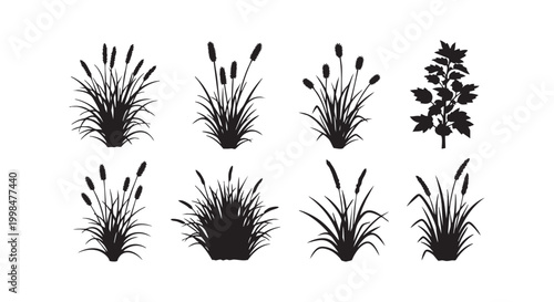 Set of various grass plants bushes and landscape elements isolated as black silhouettes for garden design projects.