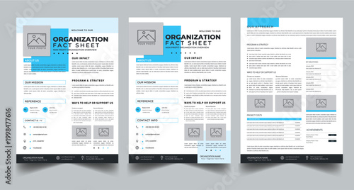Nonprofit Organization Fact Sheet, Organization Fact Sheet for Business Concept Layout With Three Page & Color Design Step