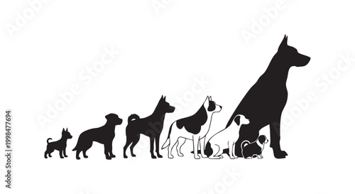 Silhouette collection of various dog breeds standing in a row isolated on white background for veterinary pet project.