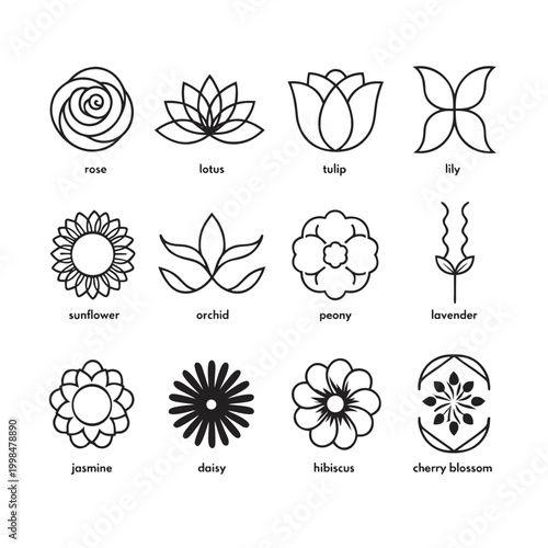 Flowers series presents a curated selection of refined botanical emblems composed of sleek linear contours that provide a sophisticated and clean visual language for luxury branding or graphic design.