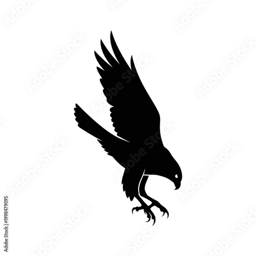 Silhouette of a bird of prey in flight.