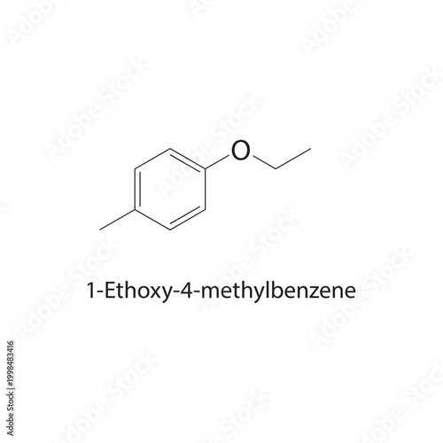 1-Ethoxy-4-methylbenzene skeletal structure. ether compound schematic illustration. Simple diagram, chemical formula.