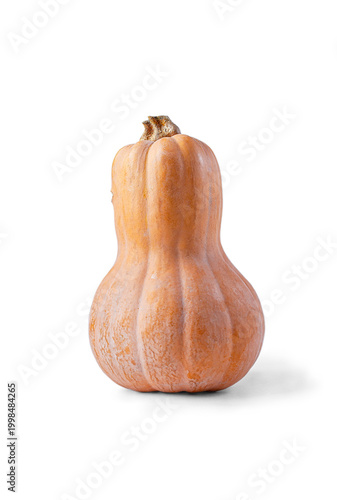 Quadro su tela Nutmeg pumpkin, Georgian culture, Matilda hybrid, on a white background, isolate