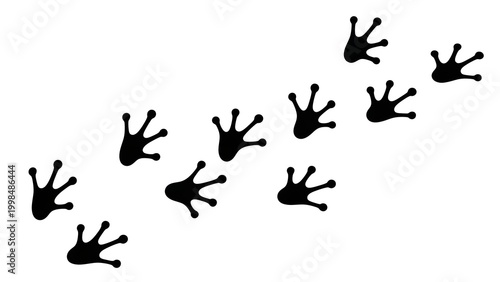 A dynamic diagonal path of black frog footprints on a bright white background, symbolizing the journey, movement, and presence of amphibians in their natural habitat