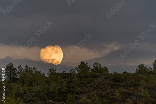 Full moon among clouds, over a mountain with pine trees.