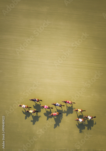 Aerial view of a group of horses and jockeys racing across a grassy field, casting long shadows.