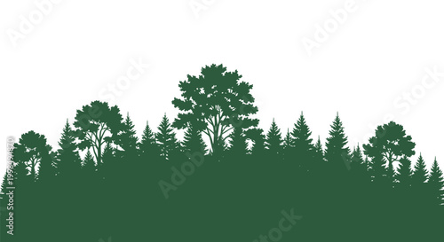 Dark Green Forest Tree Silhouette Landscape.