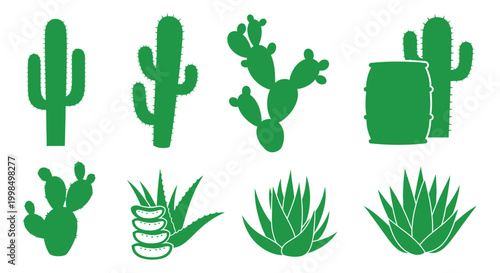 Variety of green cactus plants icons.